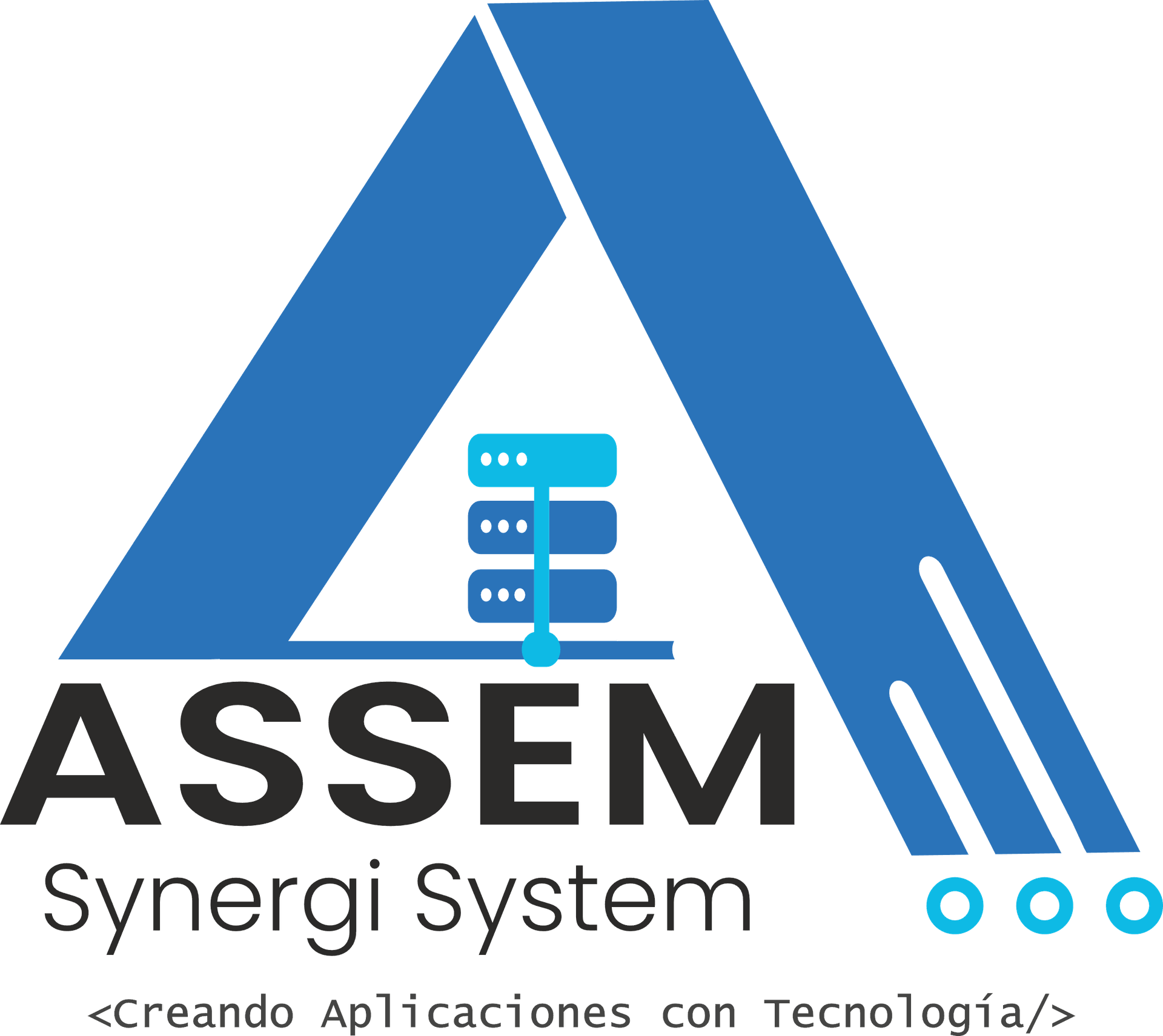 ASSEM Synergi System